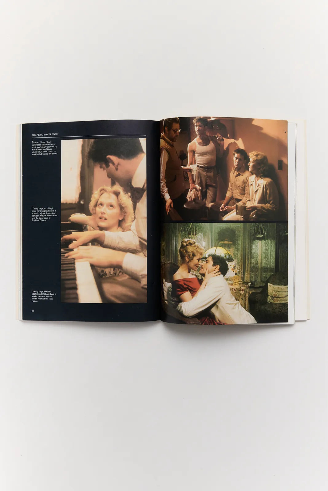The Meryl Streep Story — view 2