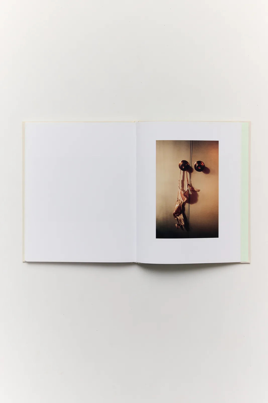 The Virgin Suicides — view 2